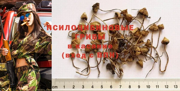 ешки Верхний Тагил