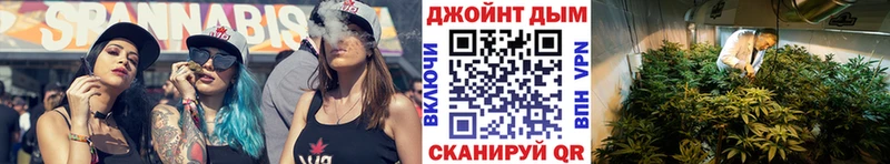 Канабис сатива  даркнет сайт  Гурьевск 